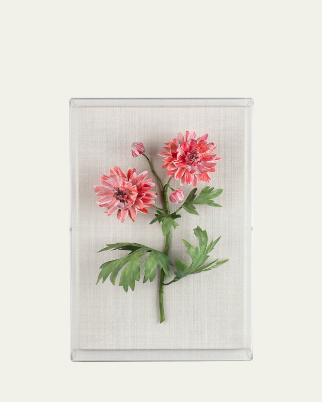 Crysanthemum November Birth Flower Wall Art
